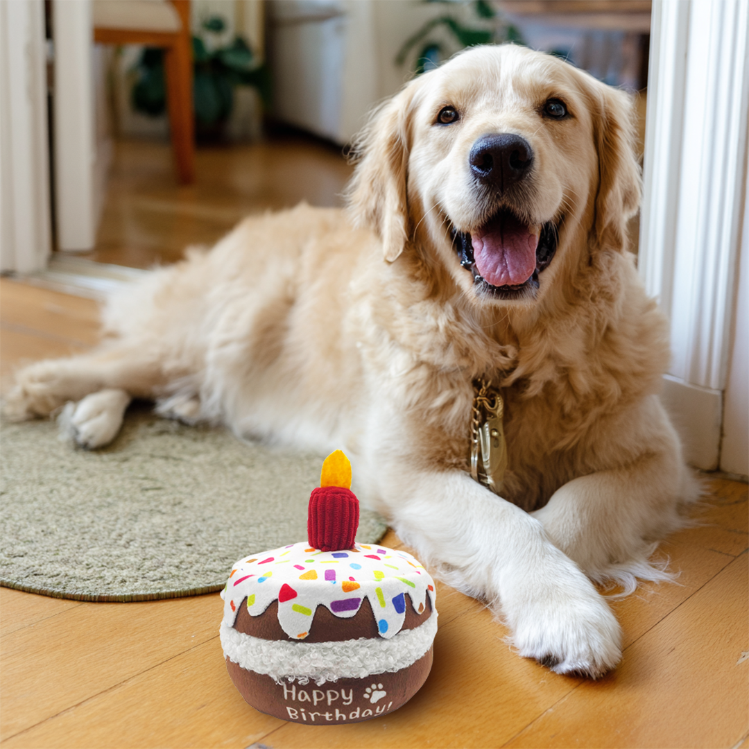 Candle Cake