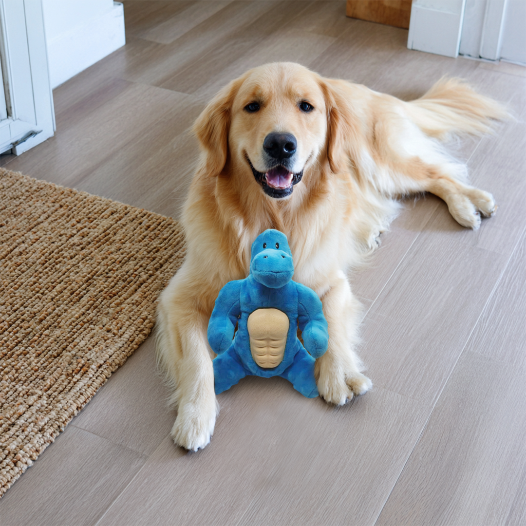Abs Dinosaur Plush Toy
