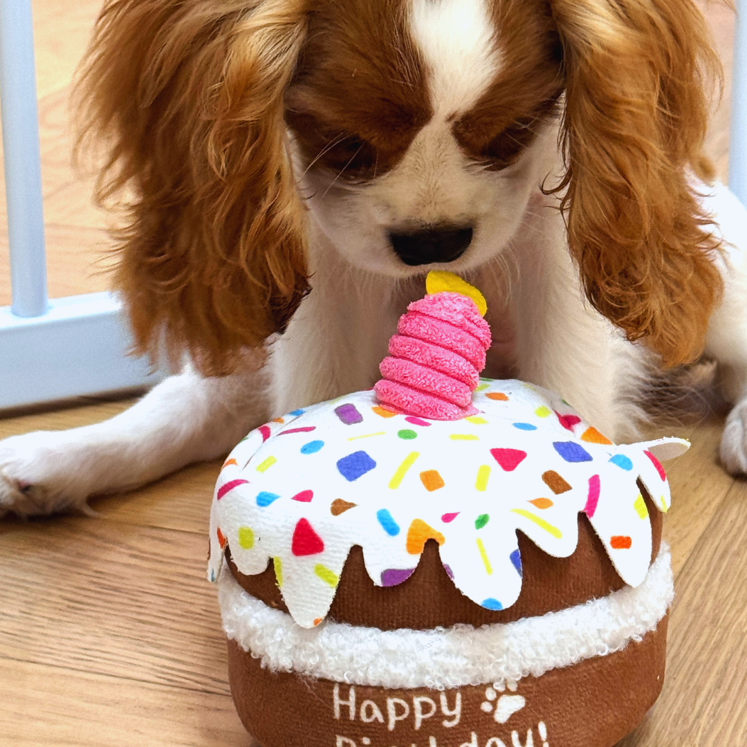 Candle Cake