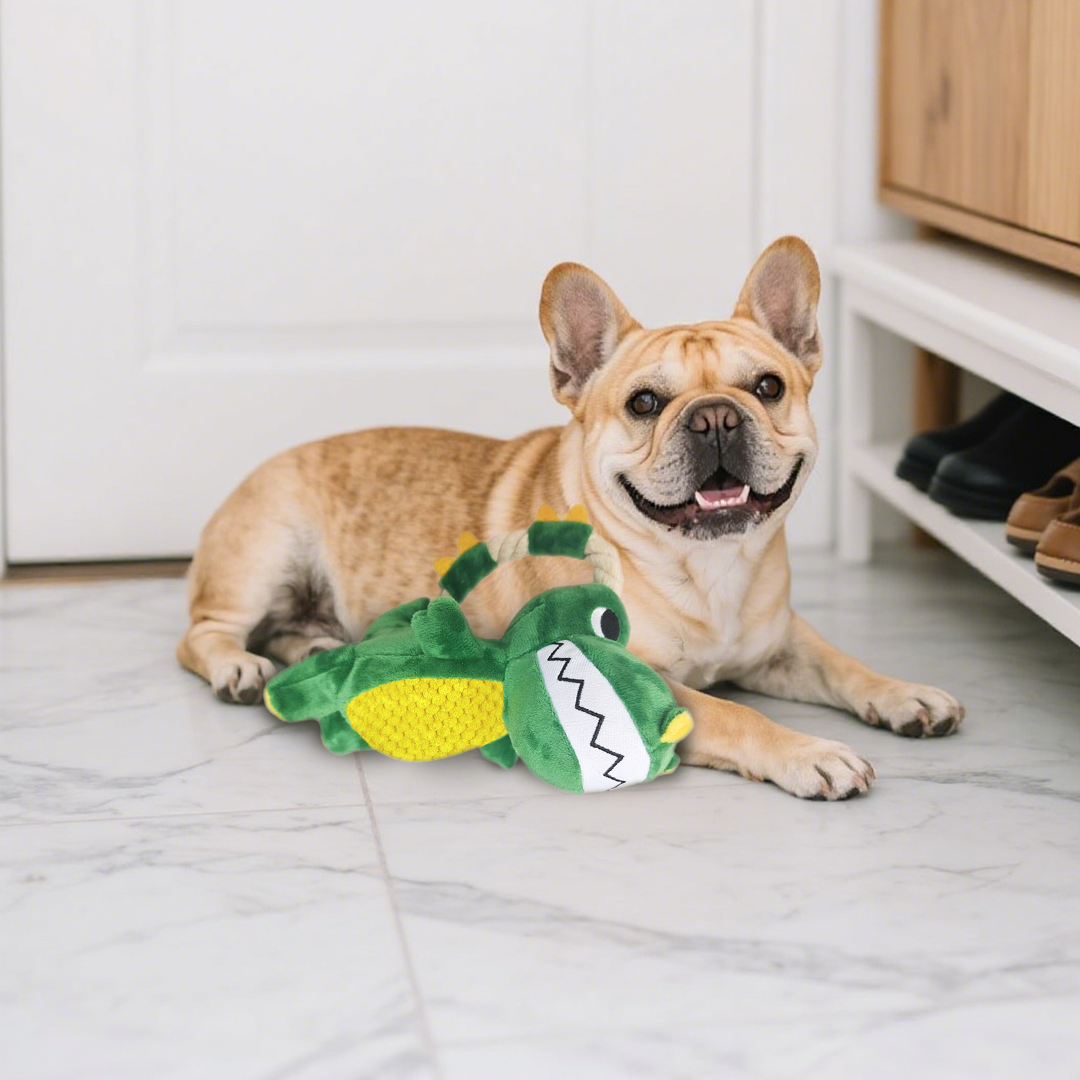 Playful Dinosaur