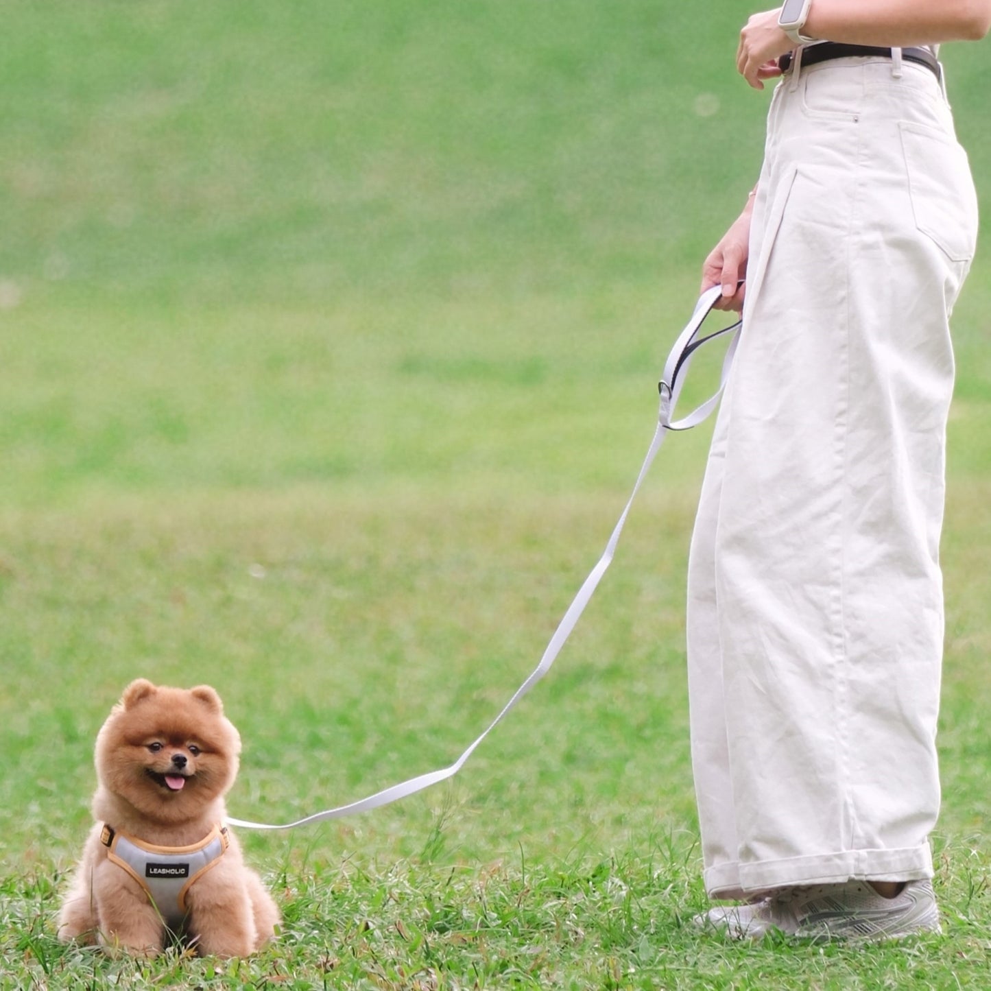 Classic Comfort Leash - Sunshine Yellow