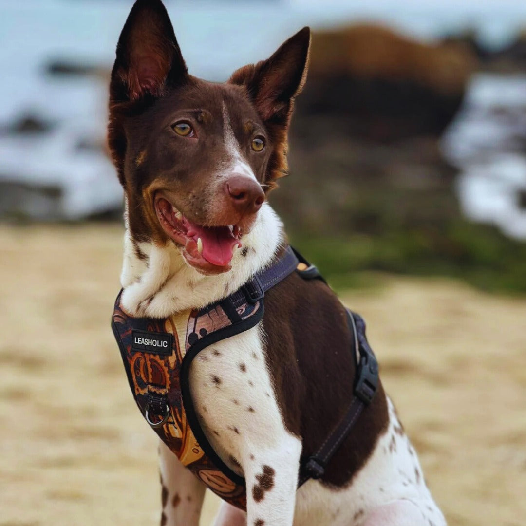 Oxford Cloth No-Pull Harness - Mech Red