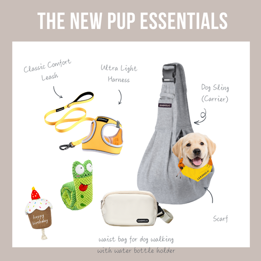 The Essential Starter Kits for New Dog Owners
