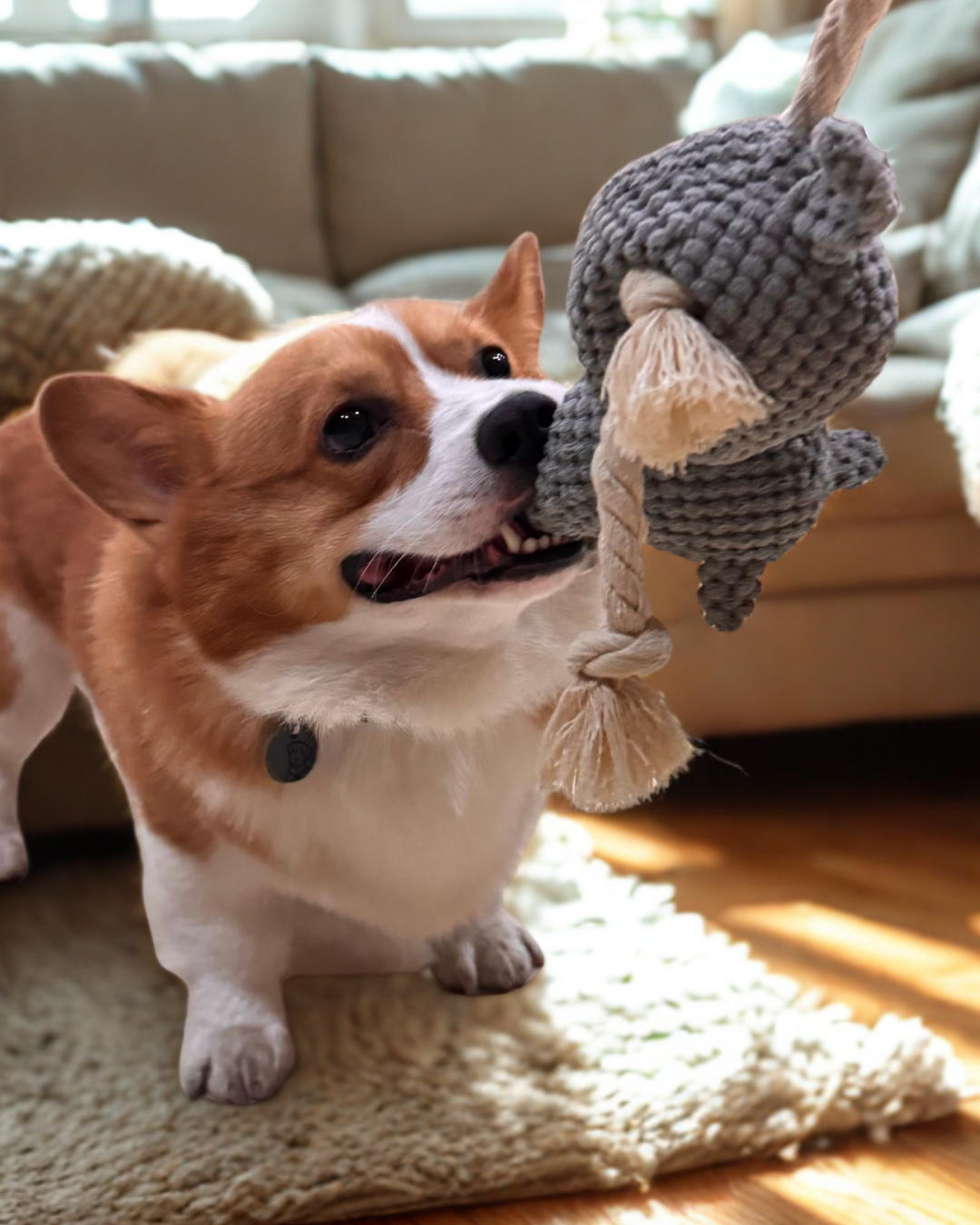 Playtime