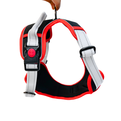 Oxford Cloth Versa Black No Pull Harness - Ink with Crimson