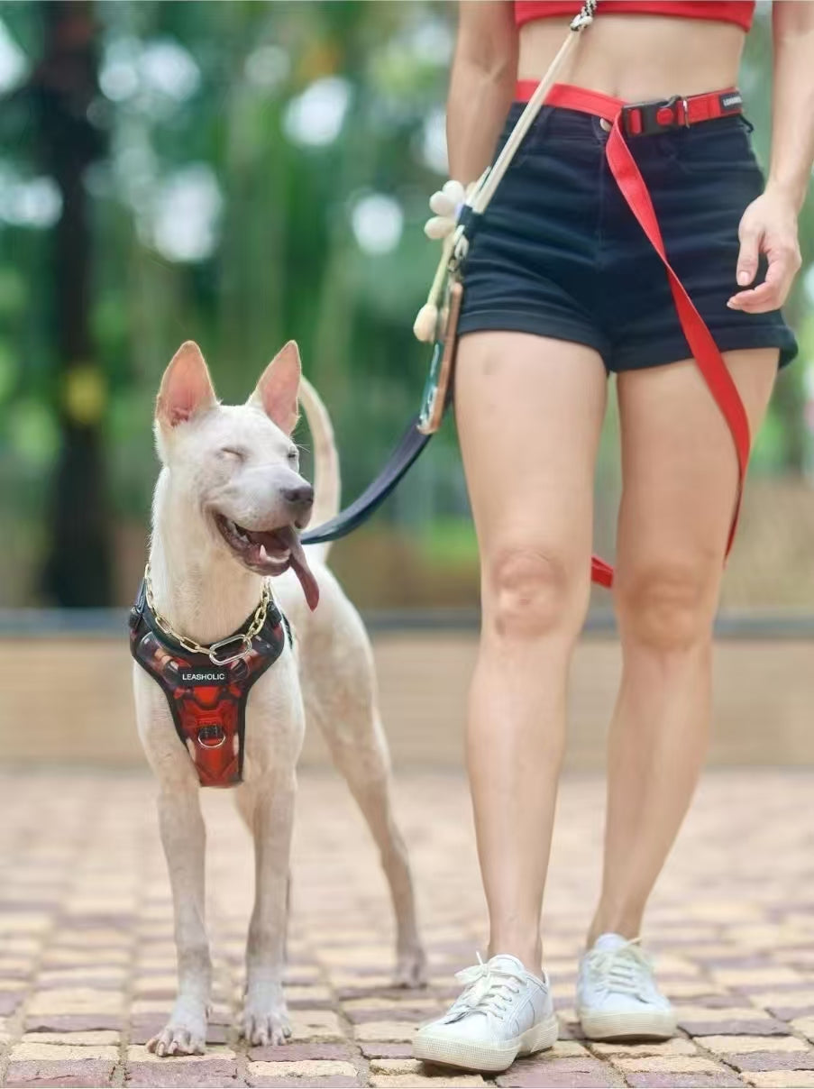 6 in 1 Multi-functional Hands-Free Leash - Ink with Crimson