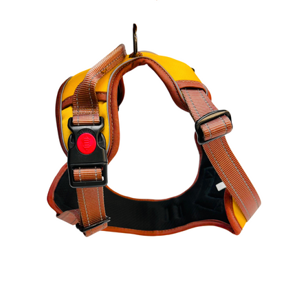 Oxford Cloth Smart Max No Pull Harness - Bright with Brown