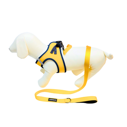 Classic Comfort Leash - Light Yellow