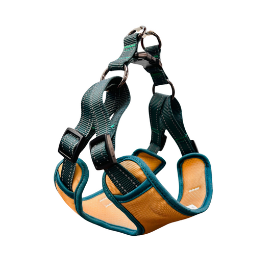 Oxford Cloth Yama Style Harness - Sand with Green