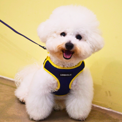 Oxford Cloth Smart Casual Harness - Navy with Yellow