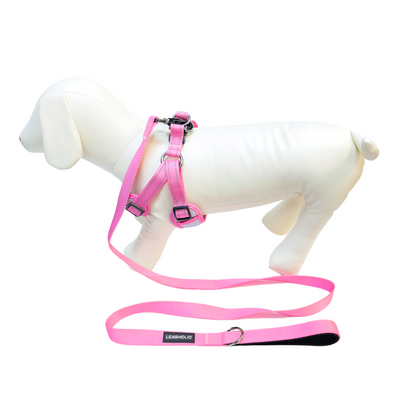 Classic Comfort Leash - Candy Pink