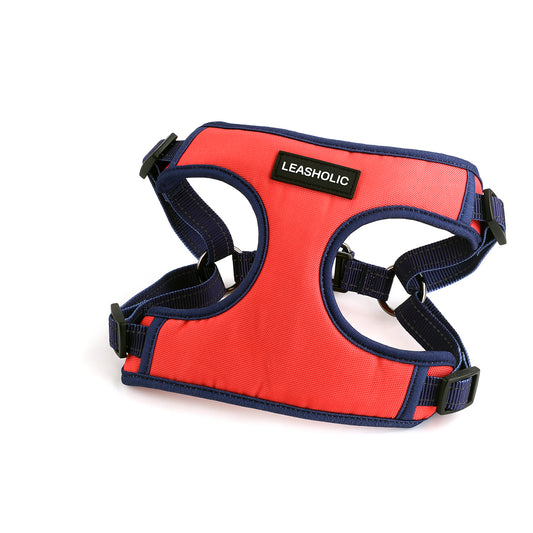 Oxford Cloth Smart Casual Harness - Crimson with Blue