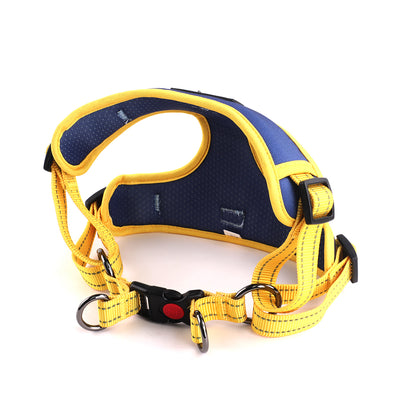 Oxford Cloth Smart Casual Harness - Navy with Yellow