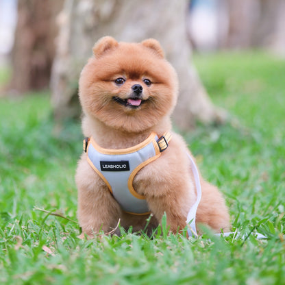 Oxford Cloth Smart Casual Harness -Navy with White