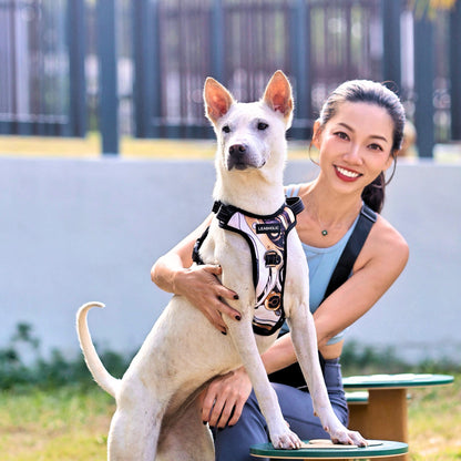 Oxford Cloth No-Pull Harness - Platinum Mechanical