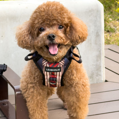 Oxford Cloth No-Pull Harness - Gentleman Suit