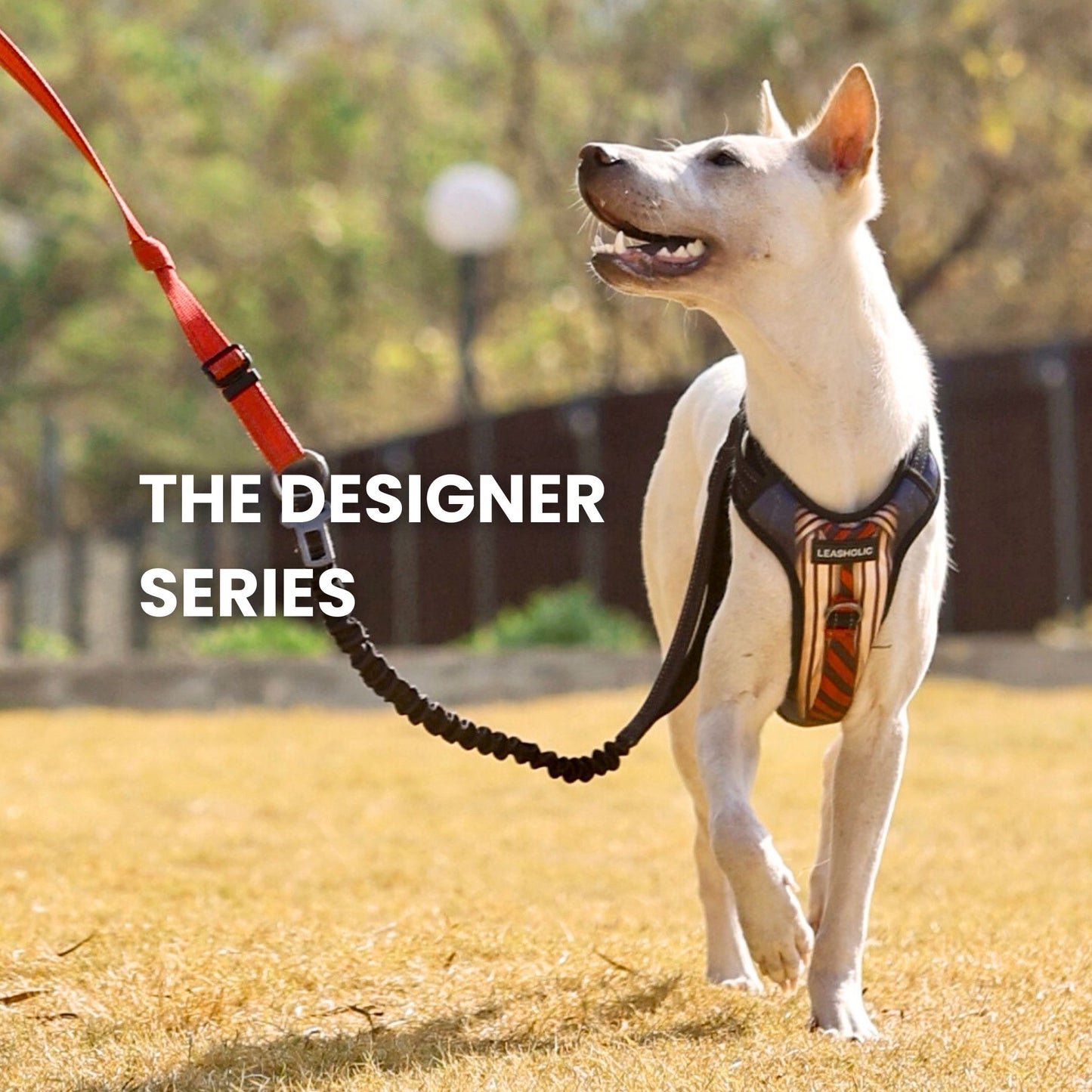 Oxford Cloth No-Pull Harness - Gentleman Suit